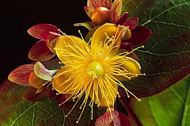 B站2024年百大UP主正式公布 你关注了几个？